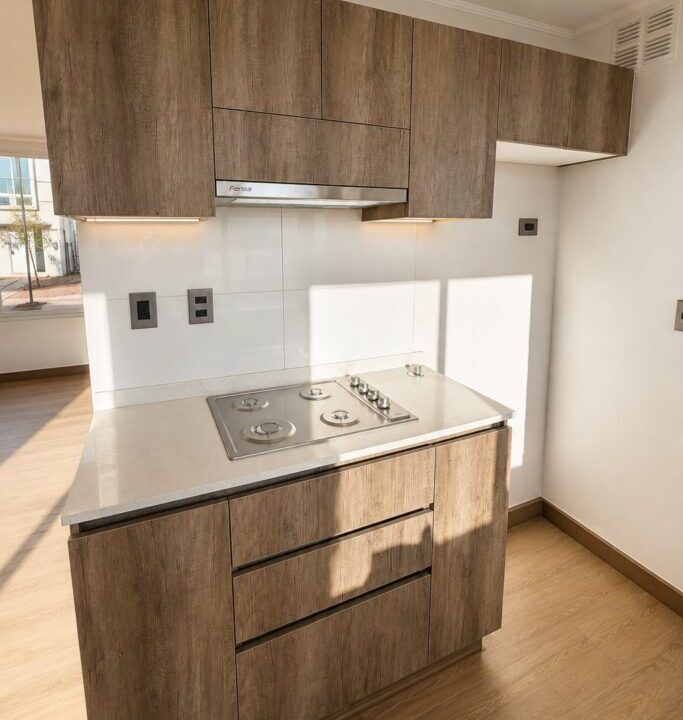 Arriendo casa 3D2B San Esteban Mirador del Alto 7